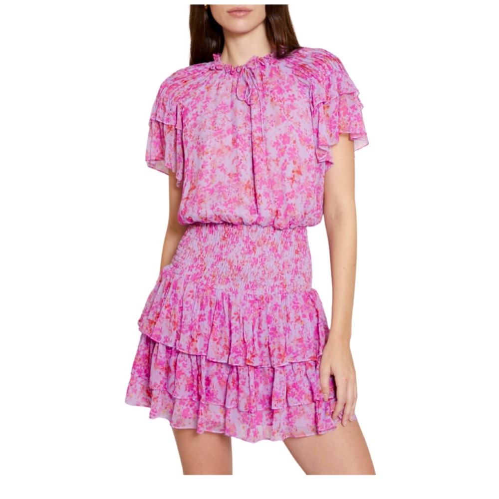 Gilner Farrar Zoe dress Midnight Pink Garden